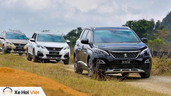 Chuyển sang lắp ráp, Peugeot 5008 và 3008 thoát “ế”