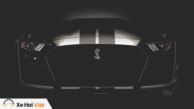 Ford Mustang Shelby GT500 2019 - Rắn chúa dần lộ diện