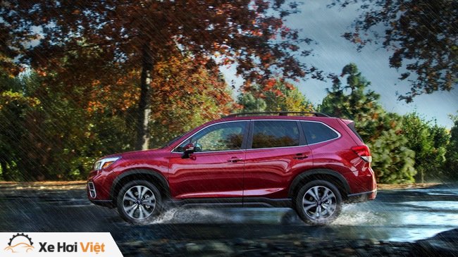 Subaru Forester 2019: Thêm đối thủ trong phân khúc SUV cỡ lớn