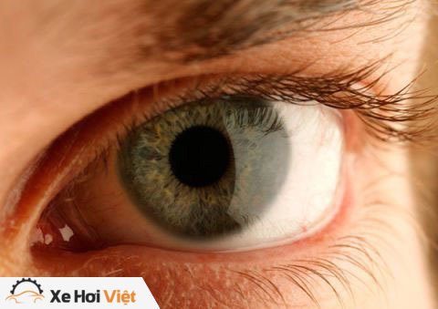 Đôi mắt khỏe là điều quan trọng hàng đầu giúp tài xế tỉnh táo và làm chủ tình huống tốt hơn. 