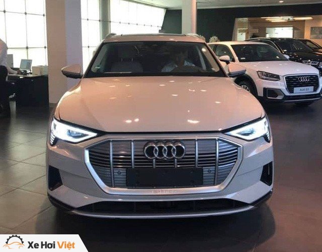 Audi e-tron đầu tiên về Việt Nam: Dùng động cơ điện, bản tiêu chuẩn nên không có gương camera - Ảnh 1.