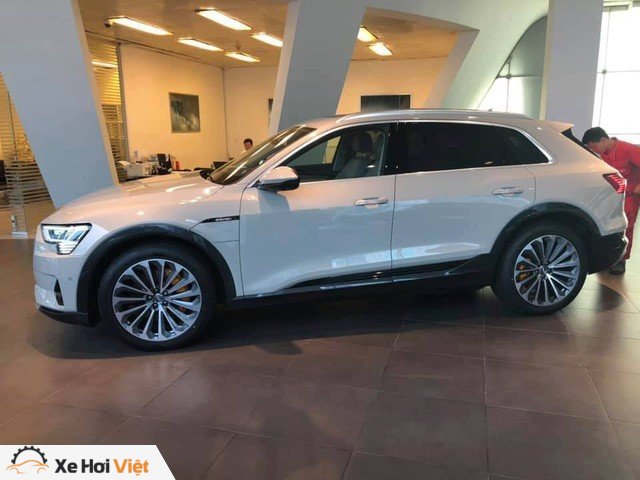 Audi e-tron đầu tiên về Việt Nam: Dùng động cơ điện, bản tiêu chuẩn nên không có gương camera - Ảnh 2.