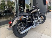 Iron 883