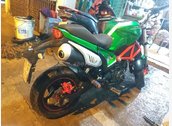 Ducati monter 795 HQCN
