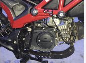 Ducati monter 795 HQCN