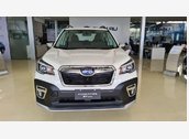 Subaru Forester nhập khẩu chỉ 192tr nhận xe ngay