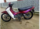 FX 125 xe zin bao cọp