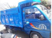FX 125 xe zin bao cọp