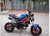 Ducati monter 795 HQCN