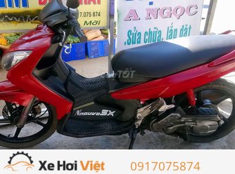 Cần bán: Visitor 250Cc Dáng Thể Thao