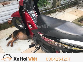 Cần bán xe máy chính hãng xe chở hàng ok