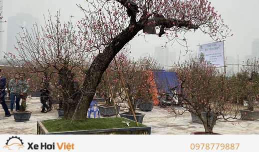 Ssangyong Stavic 2008 Số sàn-dầu-5 ghế-Cần Bán Gấp