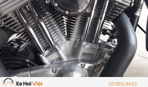 Harley Roadster 2019 Hải Quan Chính Ngạch . Một Chủ Đập Thùng