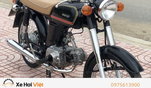Motorcycle HONDA CD 50 BENLY  Motorcycle Review And Specifications   BikeNet