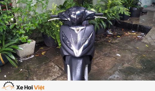 Xe Shark màu trắng mớ nguyên