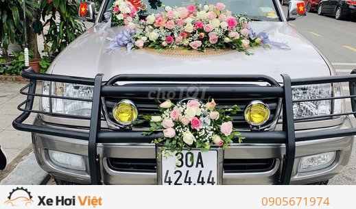 Toyota Land Cruiser 2004