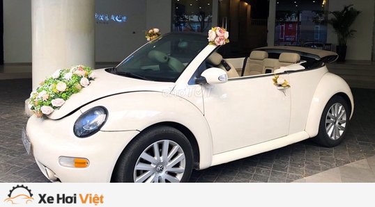 Volkswagen Beetle mui trần niềm khao khát của các quý cô