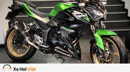 2019  2020 Kawasaki Z 300